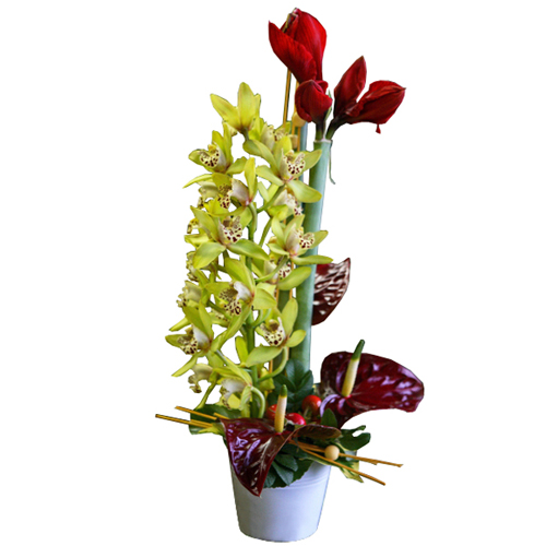 Composition De Fleurs Exotiques Avec Amaryllis Anthurium Et